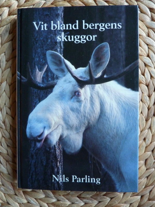 Vit bland bergens skuggor : sentida naturskildring