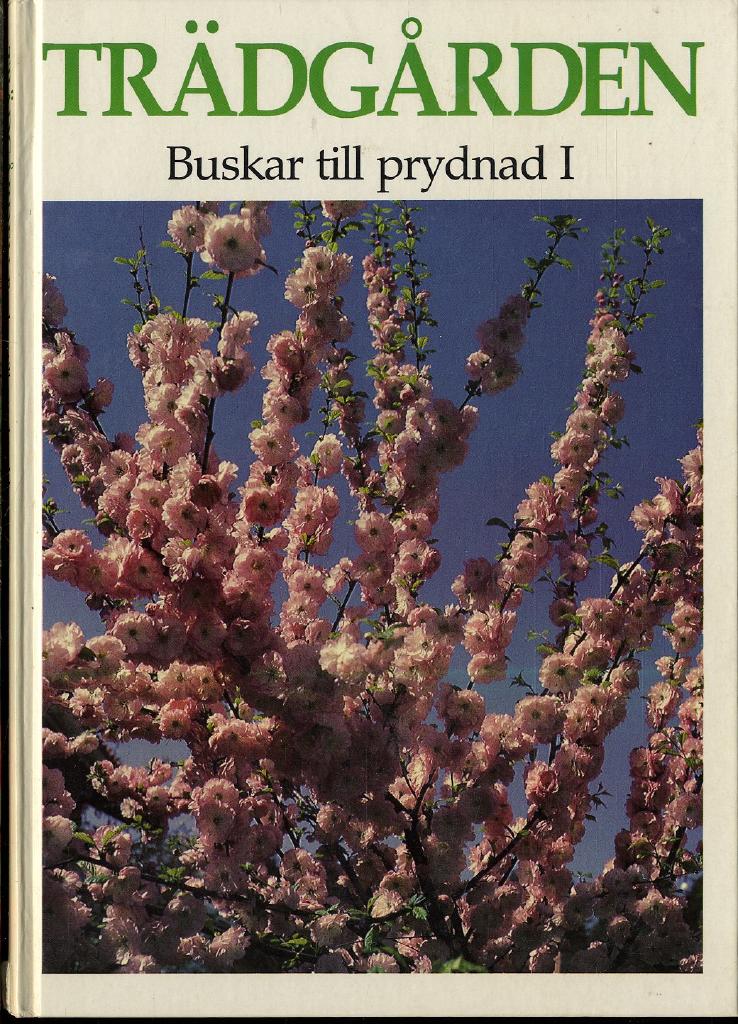 Trädgården