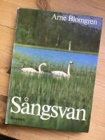 Sångsvan