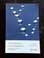 Socionomen i myndigheten - Göra gott, göra rätt och göra nytta