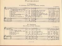 Psalterium eller Psaltaren i urval, anordnad för växelsång. Tillägg till vesperale för Svenska kyrkan.